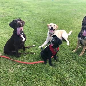 Meet your Posher, Lynne